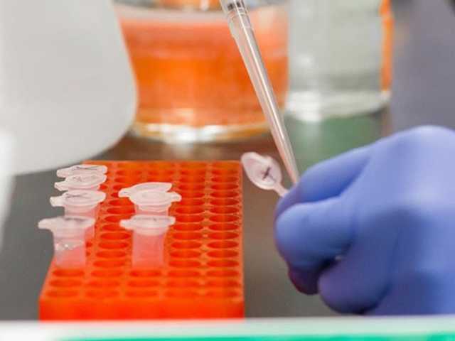 В Сумском супермаркете выявили коронавирус у пяти сотрудников