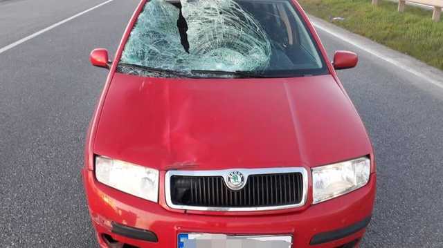 В Украине водителям запретили давить пешеходов, переходящих дорогу на красный свет