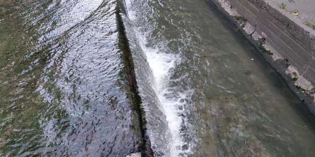 У Києві річки Либідь і Клов очистилися завдяки карантину