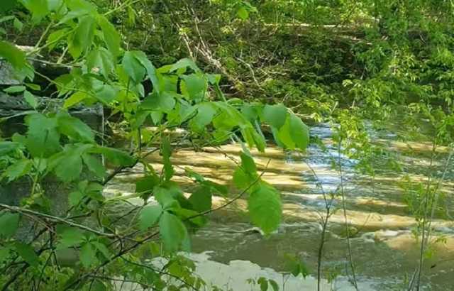 В Киеве в Днепр сливали химикаты