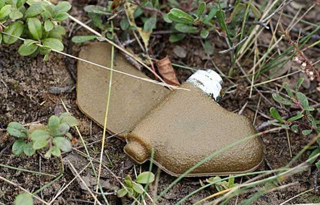 "Преступление, барыжничество, слабоумие?": в сети бурно обсуждают уничтожение Украиной миллионов мин