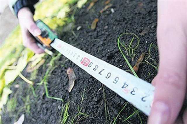 Одесские прокуроры выявили незаконную передачу физлицам почти 100 гектаров земли