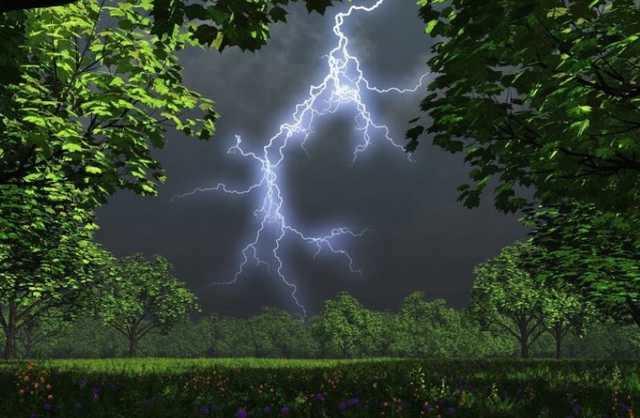 На Киев надвигается шторм: объявлен желтый уровень опасности