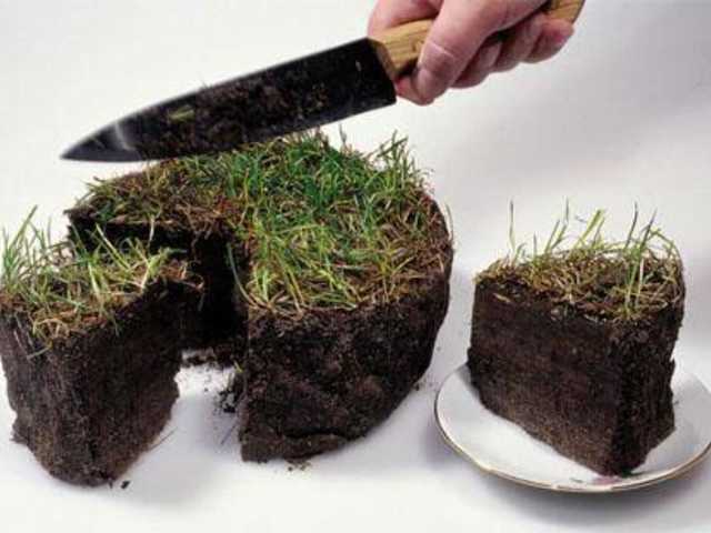 Теневой дерибан национального богатства в  Харьковской области