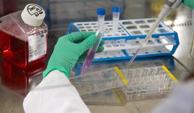 Минздрав: в Украине новый рекорд по количеству тестов на COVID-19