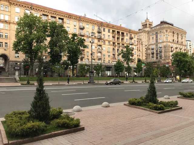 В Киеве, вместо обещаных властями каштанов на Крещатике, появились непонятные ели: киевляне возмущены