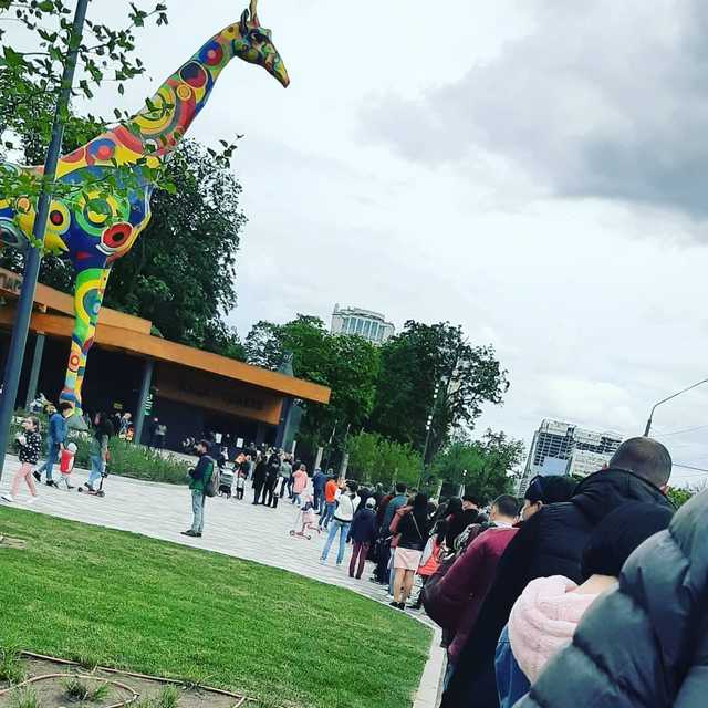 Толпы людей ринулись в Киевский зоопарк, несмотря на карантин