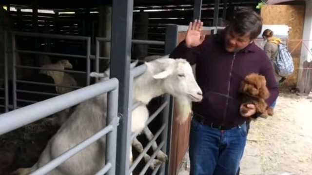 Против Андрея Богдана инициируют уголовное дело за жестокое обращение с животными