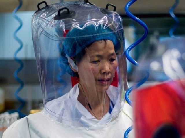 Известный китайский вирусолог предупредила, что коронавирус – это лишь «верхушка айсберга»