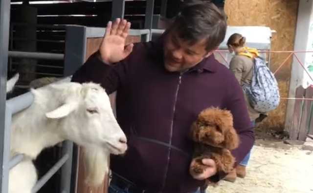 “А за козла Богдан ответит”. Украинцы шутят по поводу инцидента в зоопарке