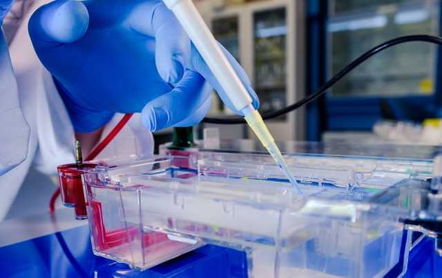 В Украине началось тестирование на антитела к коронавирусу