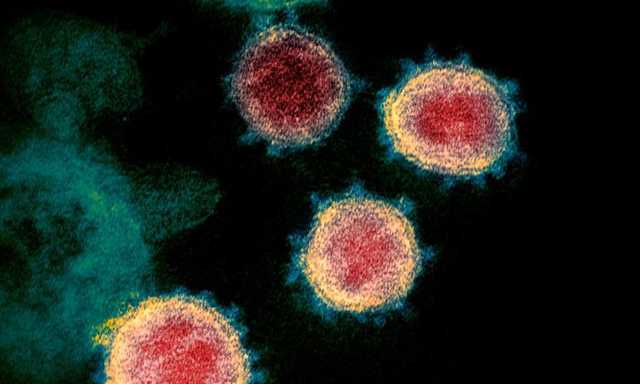 Эксперты: Covid-19 может никогда не исчезнуть, даже с появлением вакцины