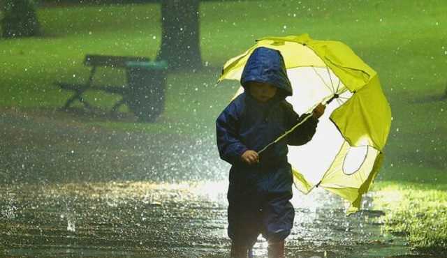 Украину накроет мощная буря: объявлен желтый уровень опасности