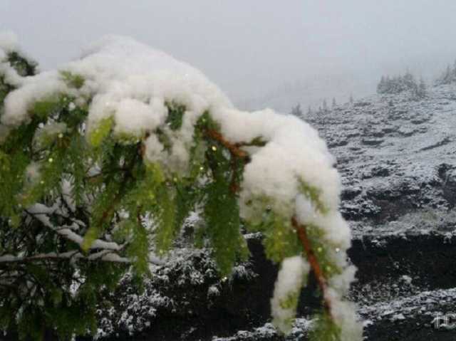 "То таке гуцульське літо": сеть развеселила метель в Карпатах в последний день весны