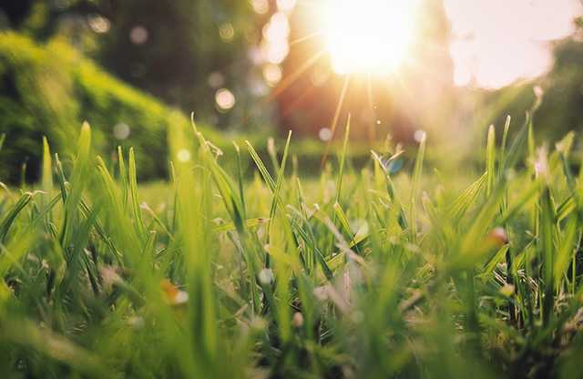 Потеплеет до +28: синоптик рассказал, когда в Украину придет настоящее лето