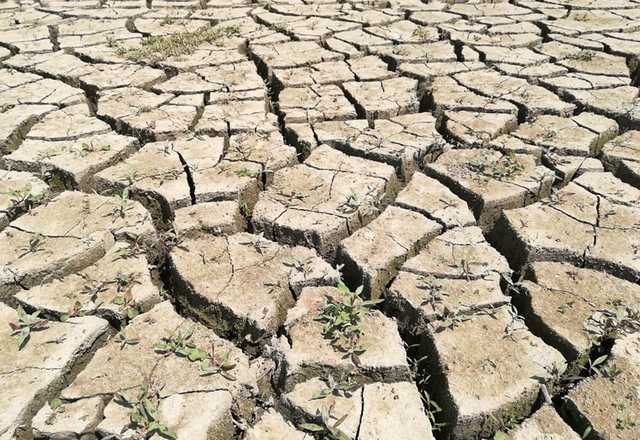 Оккупированный Крым страдает от засухи, водохранилище превратилось в лужу