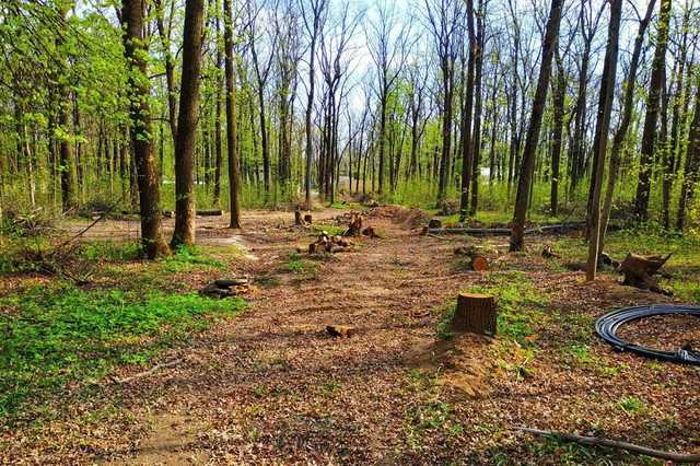 Оточення Кернеса вкрало у харків’ян лісопарк?