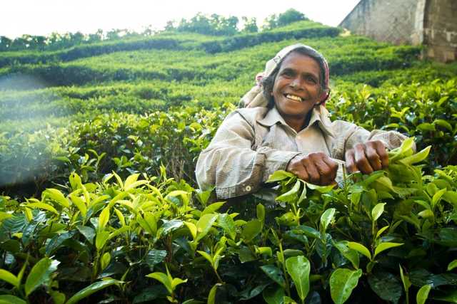 Шри-Ланка откроется для туристов с 1 августа, - власти