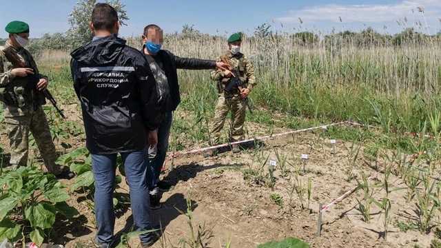 Молдованин через камыши вел невесту на смотрины в Украину