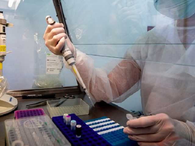 ОП купував ПЛР-тести в “Укргентеха” в обхід тендерної процедури