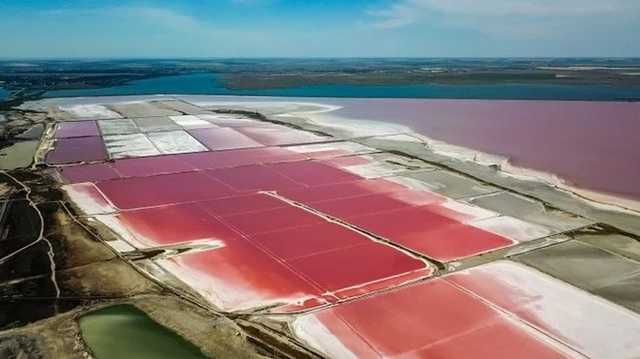 В Крыму стало розовым озеро Сасык-Сиваш