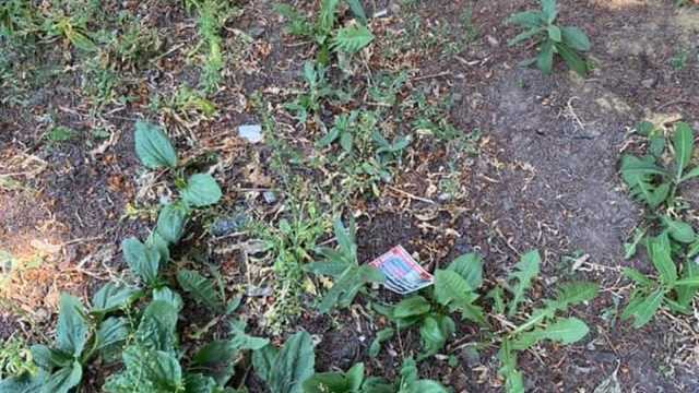 Украинские патриоты показали видео Донецка с высоты птичьего полета