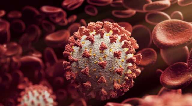 Новую мутацию коронавируса обнаружили в Панаме: что известно