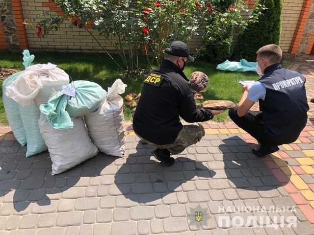 Полиция изъяла 858 кг янтаря общей стоимостью $1,2 млн на Ривненщине