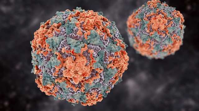 Гепатитами в Украине болеют почти 2 миллиона человек. Как уберечься от опасного вируса