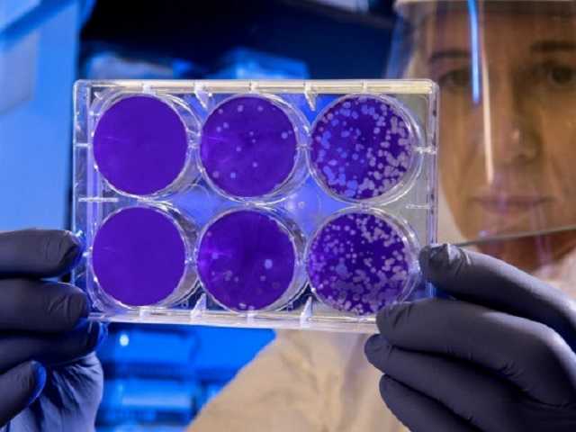 Число заболевших коронавирусом в Киеве перевалило за 4000