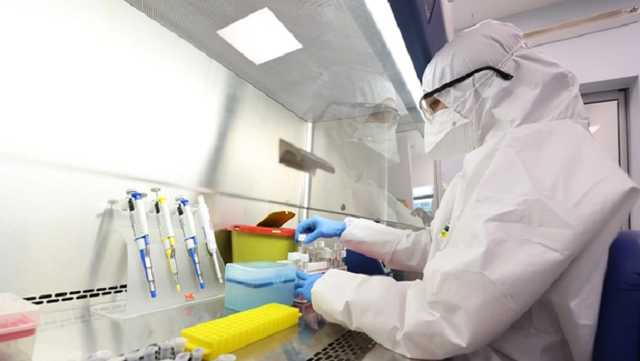 Обнаружена мутация, повышающая заразность коронавируса до 8 раз