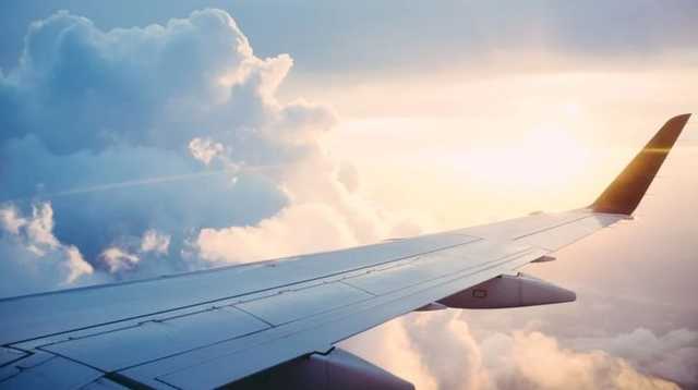 Грузия полностью закрыла авиасообщение до августа