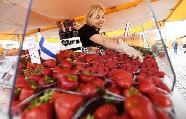 Из-за жары в Финляндии клубника поспевает слишком быстро - урожай не успевают собирать