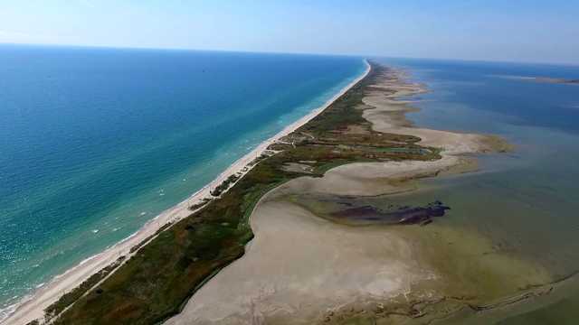 На Одесщине избили руководство нацпарка "Тузловские лиманы"