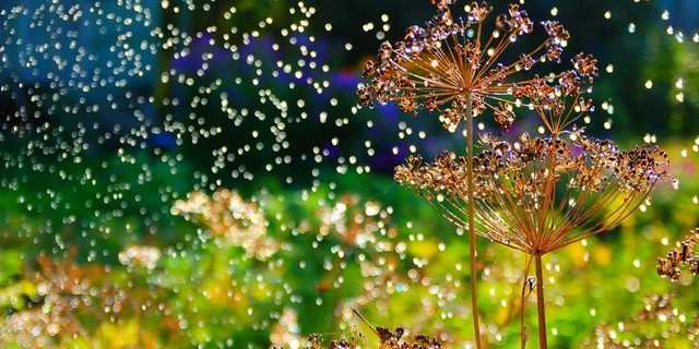 "Мокрый снег не грозит": синоптик рассказала о погоде 2 июля