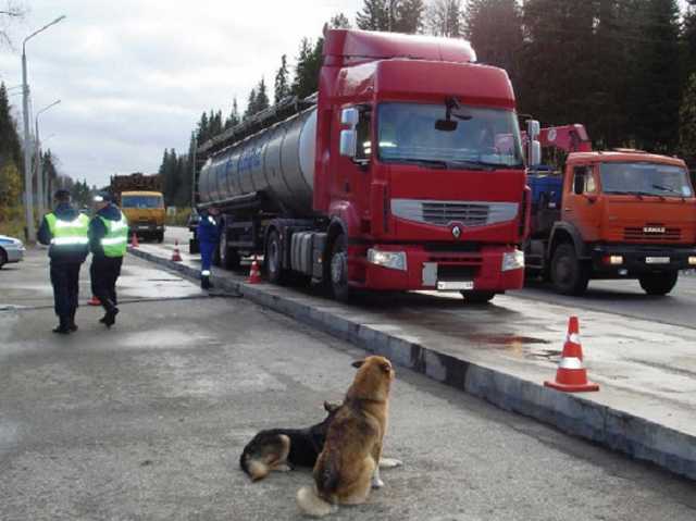 Хитро взвешенные: в сети показали, как дальнобойщики научились избавляться от "перегруза"