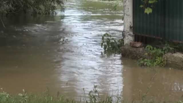 Львовскую область затопило после обильных дождей