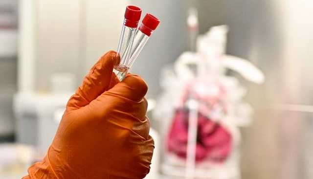 Китайцы ни при чем: в Британии предложили новую версию появления коронавируса