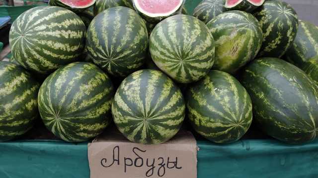 В Киеве купили арбуз с нитратами в 100 раз выше нормы