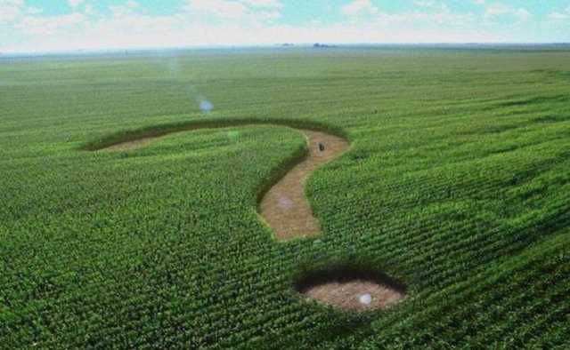 Юрий Романенко: “Зелёные убийцы мелких фермеров”