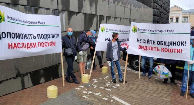 Аграрії вимагають від Кабміну компенсації за втрачені через посуху врожаї