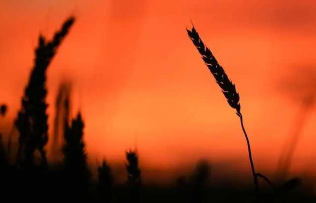 Операция «отжим земли»: «слуги» хотят станцевать на вилах