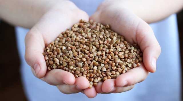 Правительство намерено закупать гречку в резерв, - министр экономики Петрашко