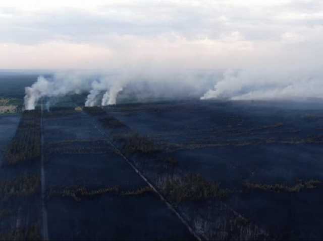 Выжженная земля: последствия масштабных пожаров в Луганской области показали с воздуха