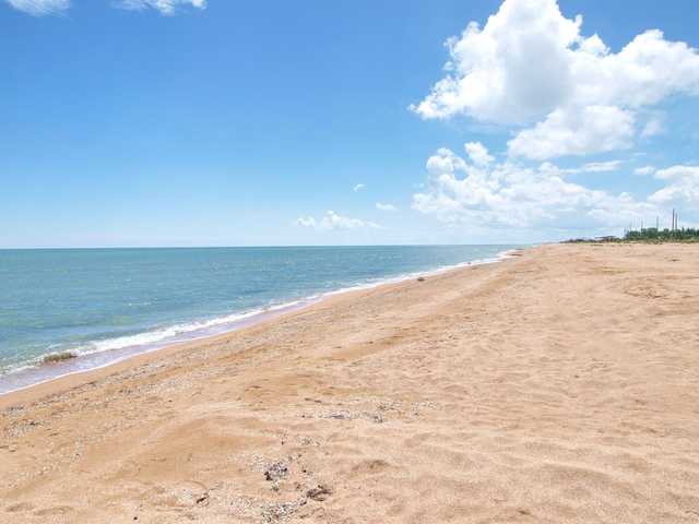  :     COVID-19,    165 