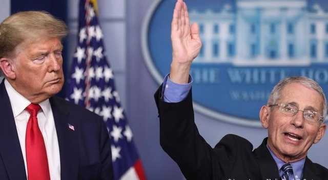 Цены на нефть падают после заявлений главного инфекциониста США