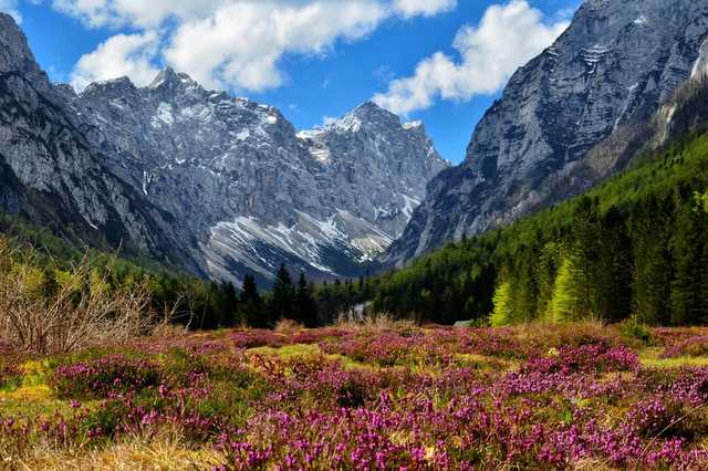 Сейф за $500 тыс: В Швейцарии откроют высеченные в Альпах хранилища для ценностей