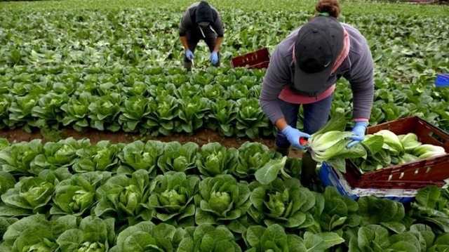 Выяснилось, где больше всего ждут украинских заробитчан