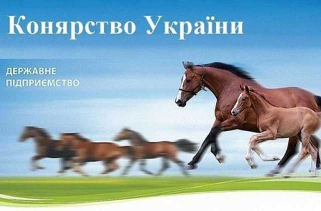 СМИ: Рейдер и конюх Януковича прибрали к рукам «Коневодство Украины»