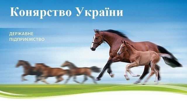 Журналисты выяснили, что Офис Президента помог экс-регионалам разваливать "Коневодство Украины"